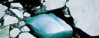 Icebergs Facebook.couverture