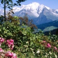 Mont Blanc vu depuis le village du Cordon, Haute-Savoie, France - Facebook Cover