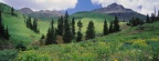 Timeline - Alpine Meadow of Sneezeweed, Asters, Paintbrush, and Hellebore, Sneffels Range, Colorado