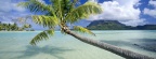 Cover FB  Tropical Escape, Bora Bora, French Polynesia