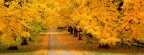 Cover FB  Autumn Covered Road