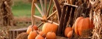 Cover FB  Autumn Harvest