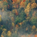 Cover FB  Colorful Autumn Forest, Great Smoky National Park, Tennessee