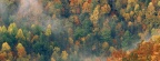 Cover FB  Colorful Autumn Forest, Great Smoky National Park, Tennessee