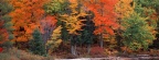 Cover FB  Hiawatha National Forest, Upper Peninsula, Michigan