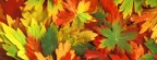 Cover FB  Kaleidoscope of Fall