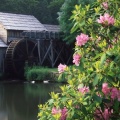 Cover FB  Mabry Mill, Blue Ridge Parkway, Virginia
