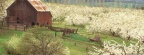 Cover FB  The Promise of Spring, Mosier, Oregon