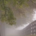 Cover FB  In the Mist, Lexington, Kentucky