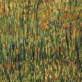 Tableau Van-Gogh FB Timeline (16)