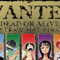 One Piece COVER Facebook 26