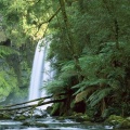 Cover FB  Hopetoun Falls, Aire River, Otway National Park, Victoria, Australia