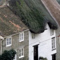 Cover FB  Cottages, Shaftsbury, Dorset, England
