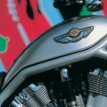 Cover FB  Harley-Davidson  Screamin Eagle NHRA DragRacing 2005 02 850x315
