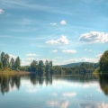 Lac dans la forêt (2).jpg
