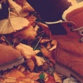 Chaussures dans les feuilles mortes