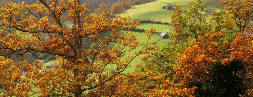 Saint Engrace en automne, Zuberoa, Pays Basque, France - Facebook Cover.jpg