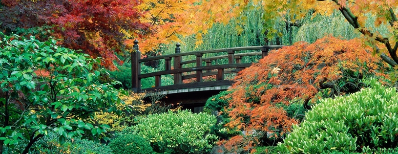 Timeline - Japanese Garden, Washington Park, Portland, Oregon.jpg
