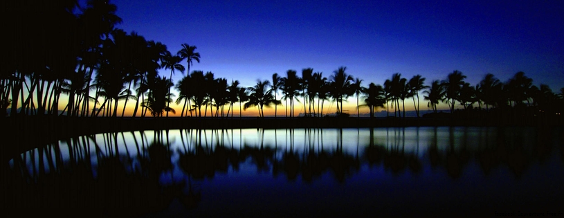 Cover FB  Palm Silhouette, Big Island, Hawaii
