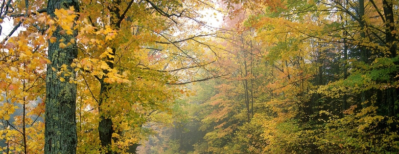 Cover_FB_ Crisp_Autumn_Afternoon,_Vermont.jpg