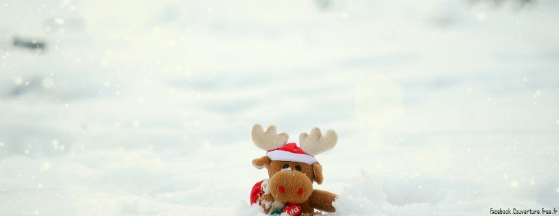 toy_moose-cover-815x315.jpg