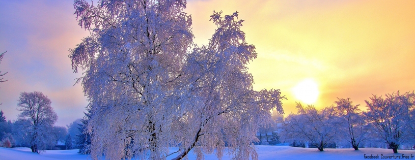 winter_evening_light-cover-815x315.jpg