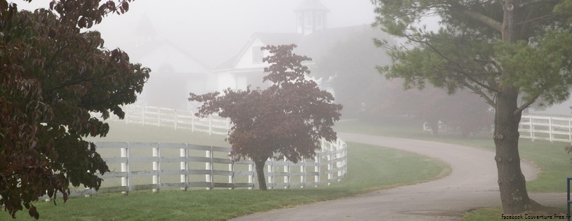 Cover_FB_ Manchester_Horse_Farm_on_a_Foggy_Morning,_Lexington,_Kentucky.jpg