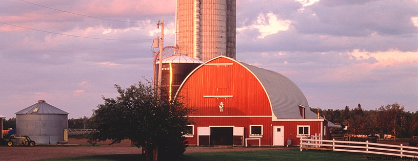 Cover_FB_ Dairy_Farm_at_Sunset.jpg