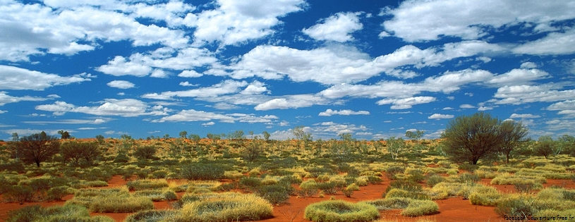 Cover_FB_ Old Spinifex Rings, Little Sandy Desert, Australia.jpg