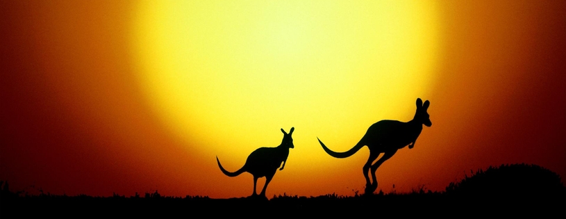 Cover_FB_ The Kangaroo Hop, Australia.jpg