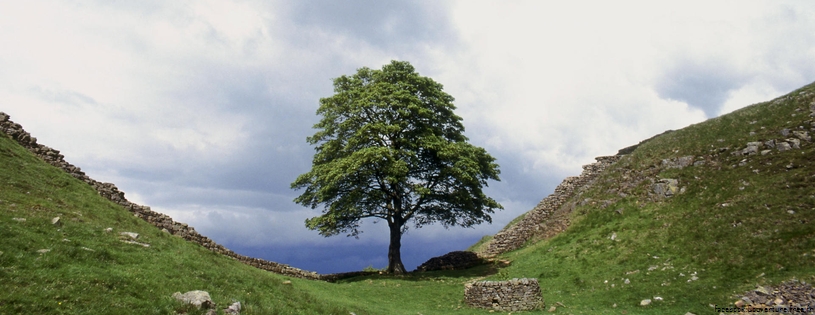 Cover_FB_ Hadrian's Wall, Northumberland, England.jpg